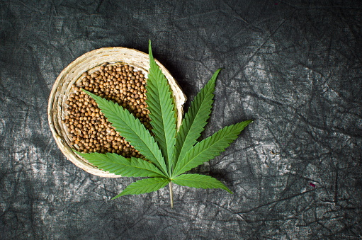 seeds cannabis