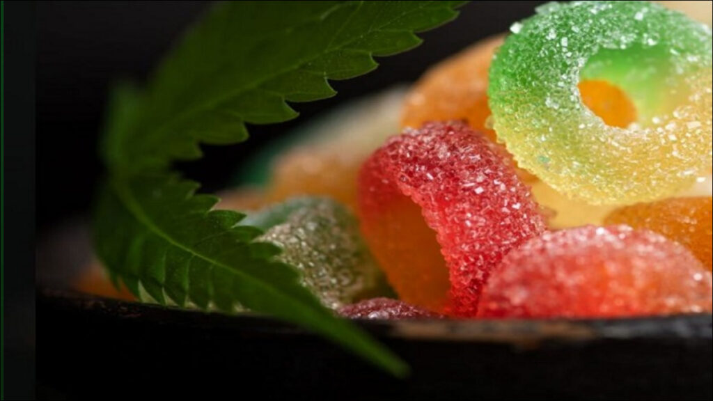 CBD Gummies for dogs